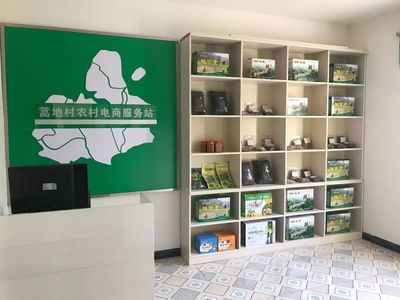 图说由陕入川“第一镇”——转斗镇电子商务服务发展纪实