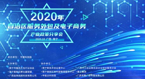 2020年自治区服务外包及电子商务产业政策分享会圆满召开 聚焦电子商务服务新机遇