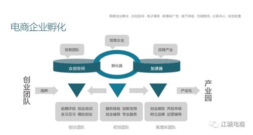 江城区电子商务产业园 打造区域电子商务服务新高地